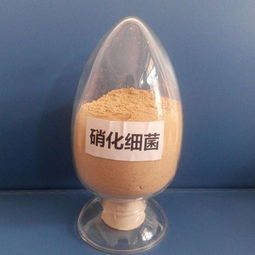 水产养殖微生物制剂 生物菌种特性、作用机制与科学应用方法