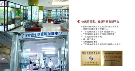 十天三展！粤微灵芝携全明星阵容亮相全国药交会等三大展会，引领生物菌种新未来