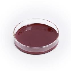 海斯夫生物科技 以生物菌种为引擎，驱动绿色产业未来