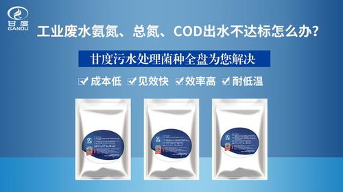 选对菌种，事半功倍 甘度微生物污水处理菌种选用核心注意事项