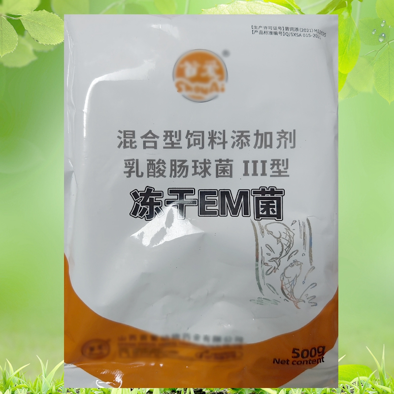 微生物菌种怎么选择？专家教你避开误区，高效选对生物菌种